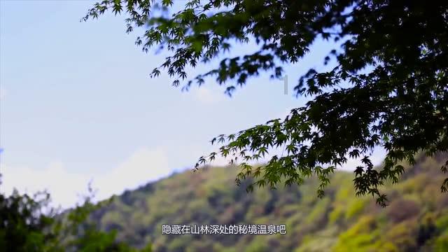 巧虎踢足球2