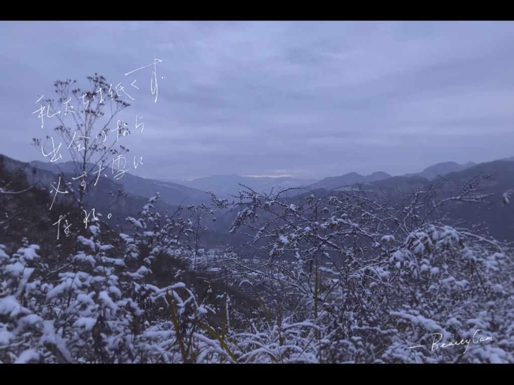 网络公司逃脱