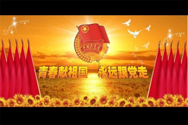 植物大战僵尸11