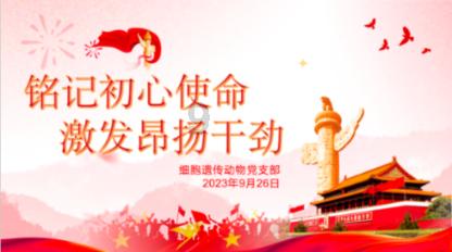 最终幻想世界